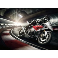 BT Moto (BrenTune) Stage 1+ ECU Flash with Tuner for the BMW S1000RR (K46) 2010-2014 BT Moto (BrenTune) Stage 1+ ECU Flash with Tuner for the BMW S1000RR (K46) 2010-2014